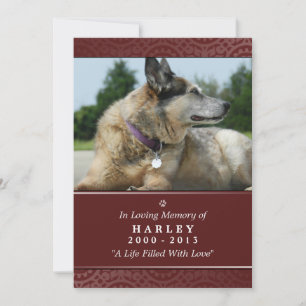 Tarjeta conmemorativa mascota 5"x7" Puente arcoiri