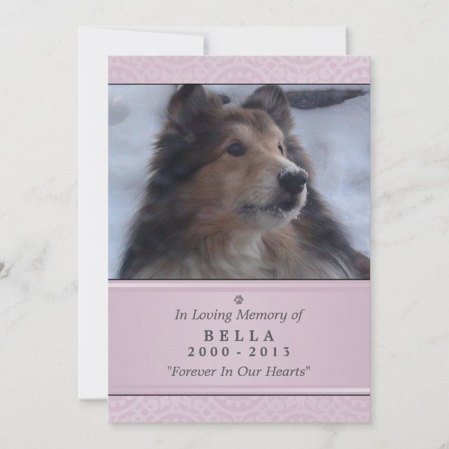 Tarjeta conmemorativa mascota 5"x7" rosa moderna - (Anverso)