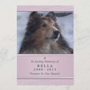 Tarjeta conmemorativa mascota 5"x7" rosa moderna -