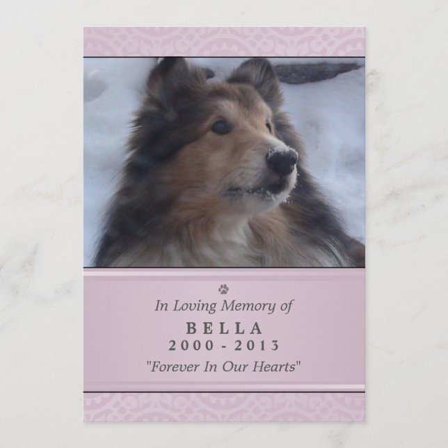 Tarjeta conmemorativa mascota 5"x7" rosa moderna - (Anverso)