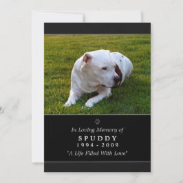 Tarjeta conmemorativa mascota 5 x 7 Mascota de fot