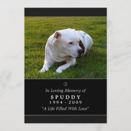 Tarjeta conmemorativa mascota 5 x 7 Mascota de fot