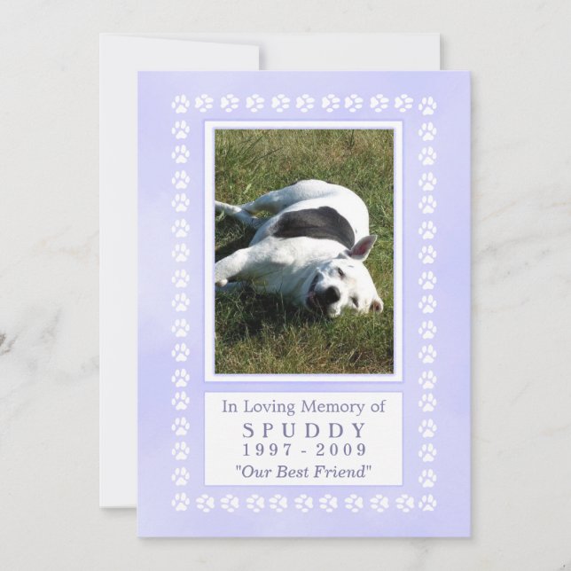 Tarjeta conmemorativa mascota 5x7 - Huellas azul c (Anverso)