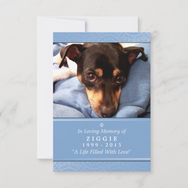 Tarjeta conmemorativa mascota de 3,5" x 5" - Foto  (Anverso)