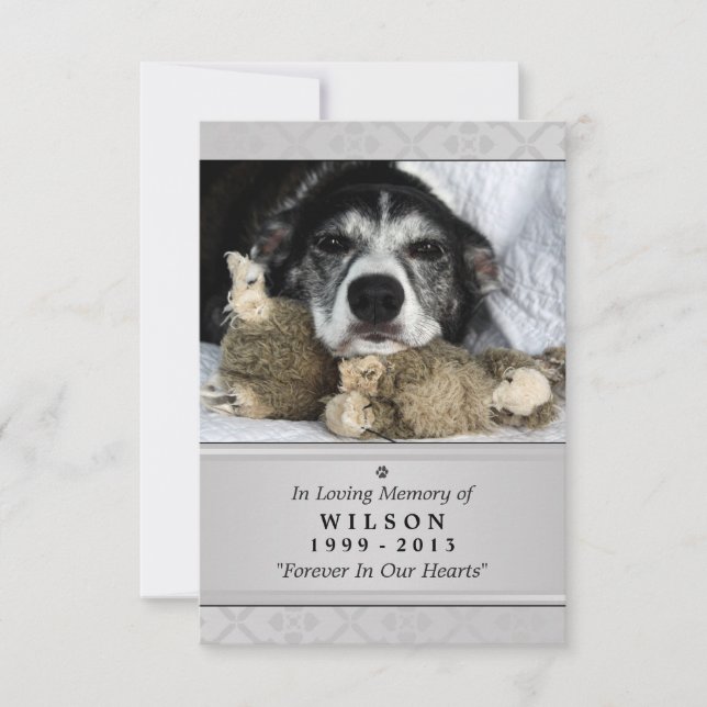 Tarjeta conmemorativa mascota de 3,5" x 5" - Foto  (Anverso)
