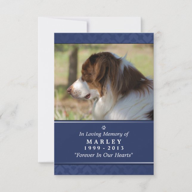 Tarjeta conmemorativa mascota de 3,5" x 5" - foto  (Anverso)