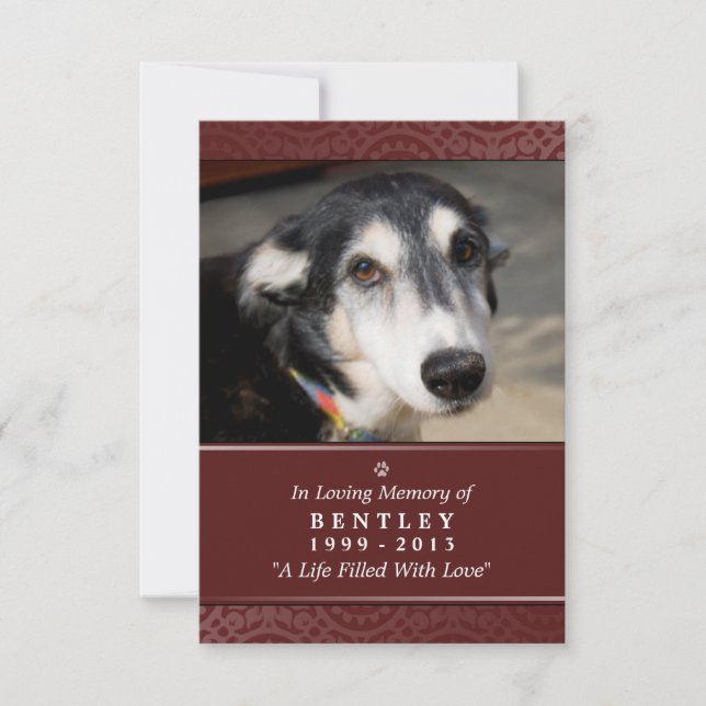 Tarjeta conmemorativa mascota de 3,5" x 5" - Rojo  (Anverso)