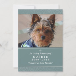 Tarjeta conmemorativa para mascotas 5x7 Oración Ve