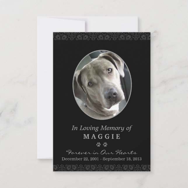 Tarjeta conmemorativa para mascotas de 3,5" x 5" m (Anverso)