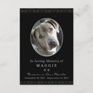Tarjeta conmemorativa para mascotas de 3,5" x 5" m