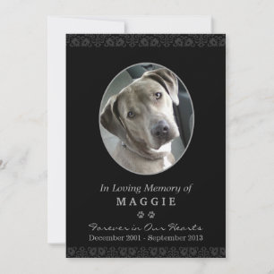 Tarjeta conmemorativa para mascotas marco fotográf