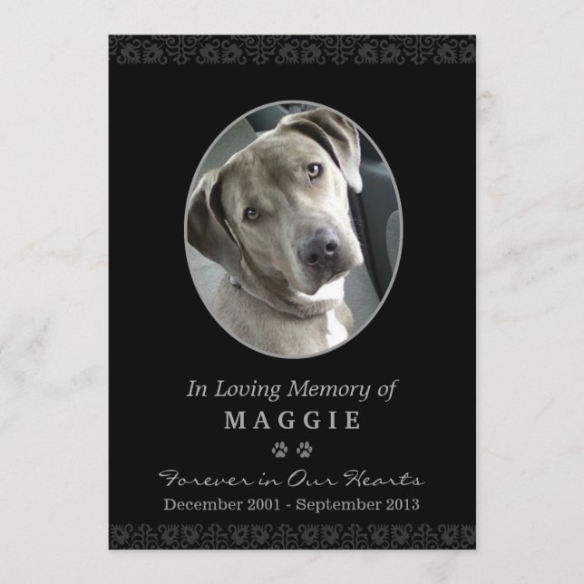Tarjeta conmemorativa para mascotas marco fotográf (Anverso)