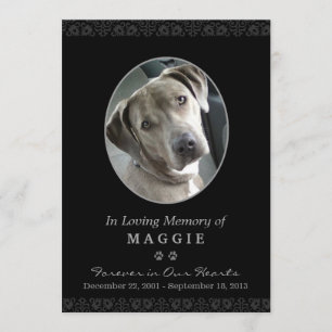 Tarjeta conmemorativa para mascotas marco fotográf