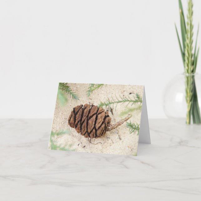 Tarjeta Cono de árbol secuoia en tierra arenosa (Anverso)