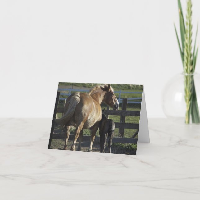 Tarjeta conocida (Anverso)