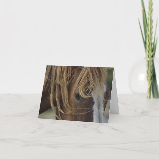 Tarjeta conocida (Anverso)