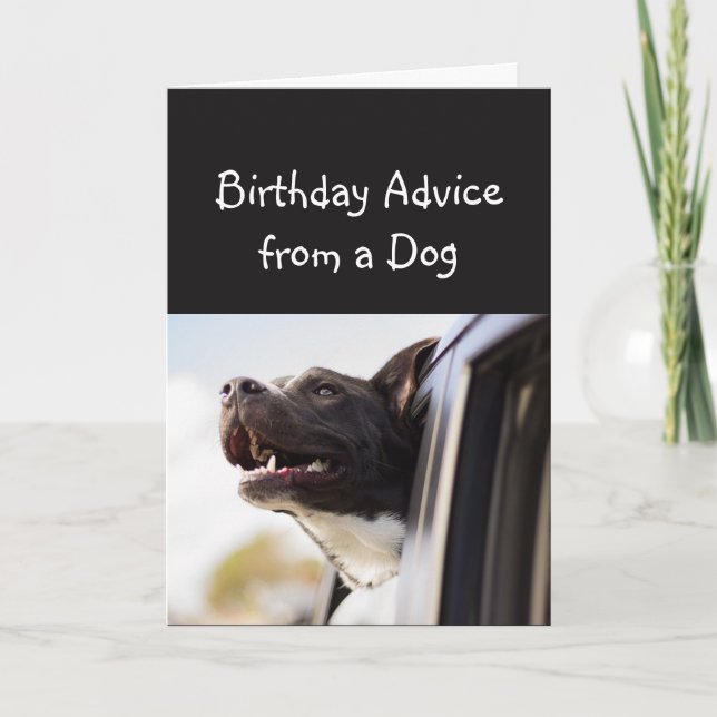 Tarjeta Consejo de cumpleaños de un humor animal divertido (Anverso)
