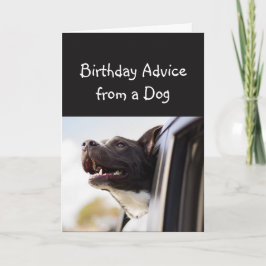 Tarjeta Consejo de cumpleaños de un humor animal divertido