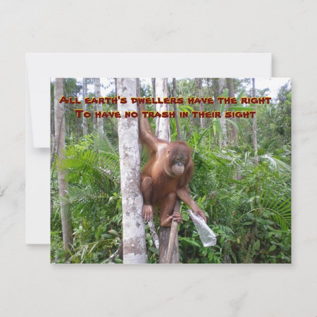 Tarjeta Conservación, Sin Contaminación Plástica (Anverso)