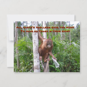 Tarjeta Conservación, Sin Contaminación Plástica