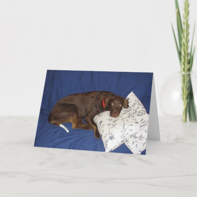 Tarjeta Consiga a Jake bien (Anverso)