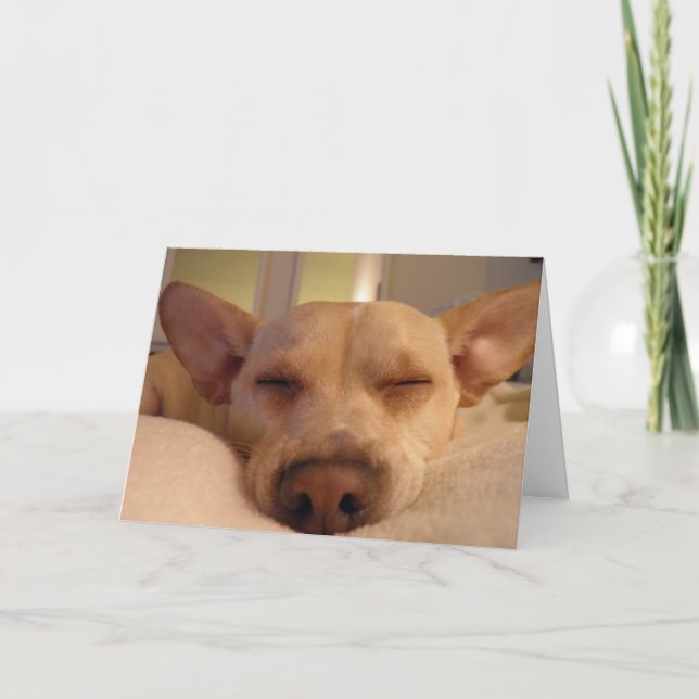 TARJETA CONSIGA BIEN PRONTO (Anverso)