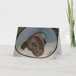 Tarjeta Consiga bien pronto