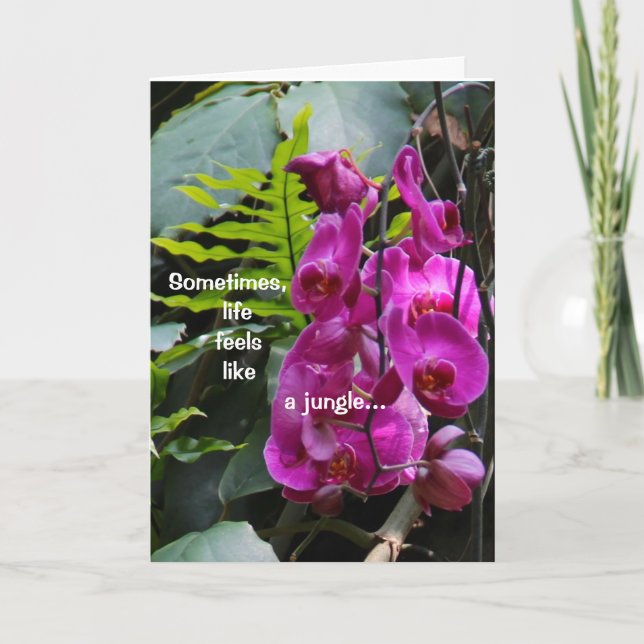 Tarjeta Consiga las orquídeas bien (Anverso)