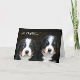 Tarjeta Consiga pronto a perritos bien del perro de