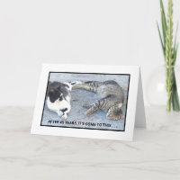 CONTENIDO ANIVERSARIO/DOS GATOS DORMIDOS/ HUMOR