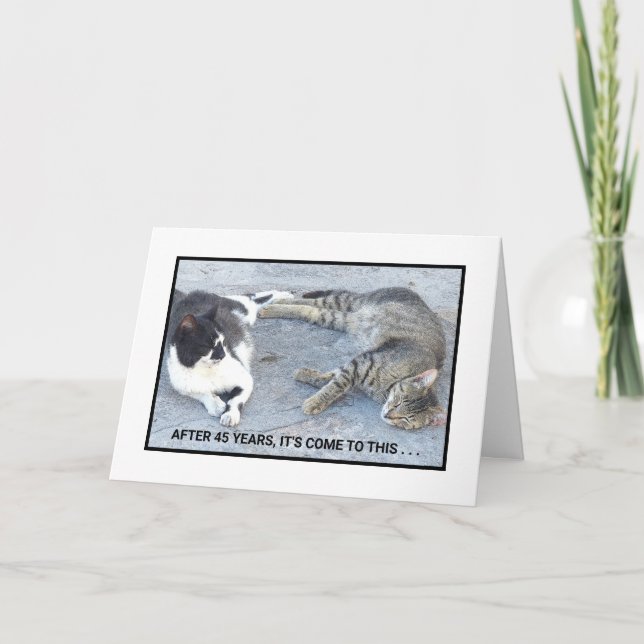 TARJETA CONTENIDO ANIVERSARIO/DOS GATOS DORMIDOS/ HUMOR (Anverso)