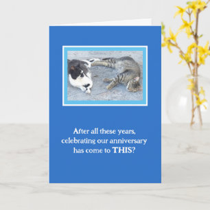 TARJETA CONTENIDO ANIVERSARIO/DOS GATOS DORMIDOS/ HUMOR
