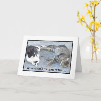 CONTENIDO DE ANIVERSARIO/SATISFACCIÓN/DOS GATOS SO