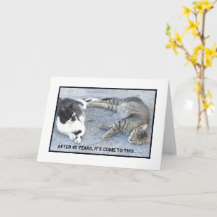 TARJETA CONTENIDO DE ANIVERSARIO/SATISFACCIÓN/DOS GATOS SO