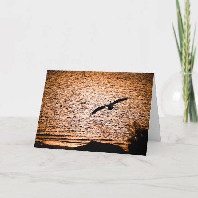 Tarjeta Coorong Pelican en Dusk (Anverso)