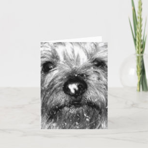 Tarjeta copo de nieve