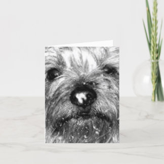 Tarjeta copo de nieve