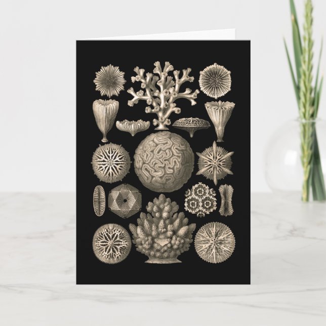 Tarjeta Coral (Anverso)