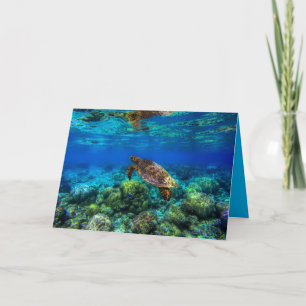 Tarjeta Coral de tortuga marina tropical submarina