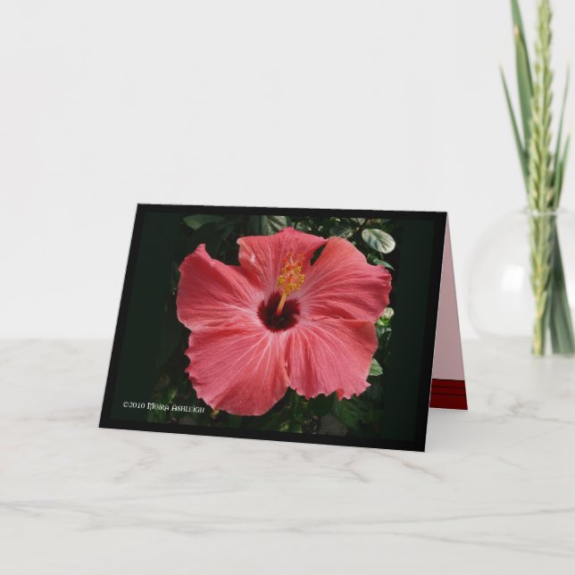 Tarjeta Coral Hibiscus (Anverso)