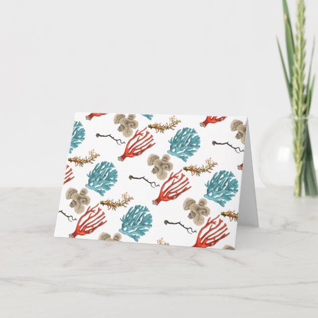 Tarjeta Corales (Anverso)