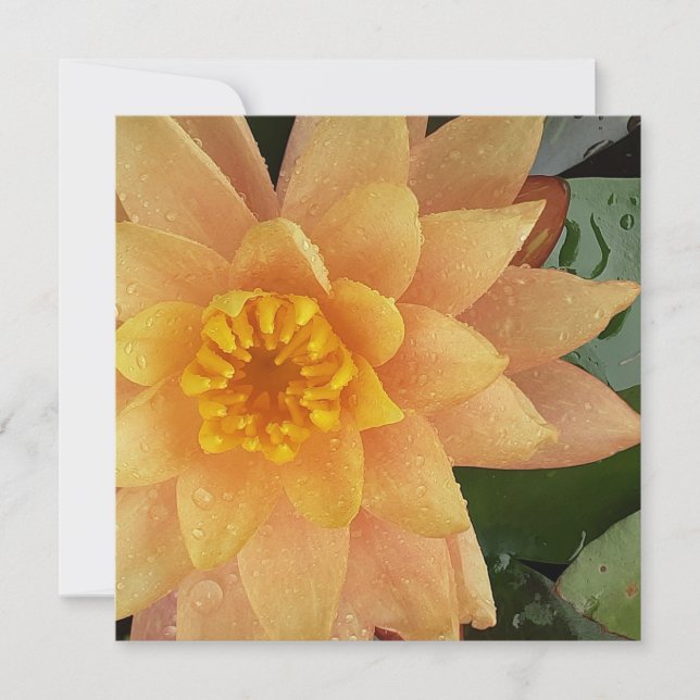 Tarjeta Corazón aculínico (Anverso)