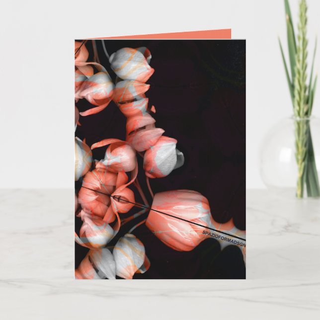 Tarjeta "Corazón blanco en negro desde el sol" & Indiferen (Anverso)