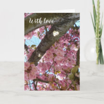 Corazón de sol de árbol de cereza