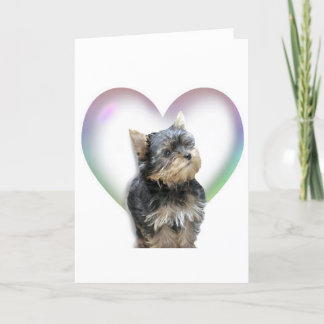 Tarjeta Corazón de Yorkie