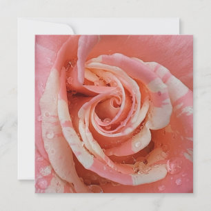 Tarjeta Corazón rosa rosa rosa rosa con caídas de agua