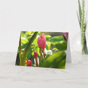 Tarjeta Corazones sangrantes
