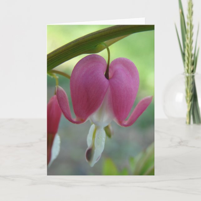 Tarjeta Corazones sangrantes (Anverso)