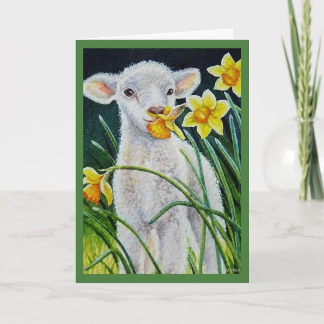 Tarjeta Cordero bebé y Daffodias de primavera acuarela art (Anverso)