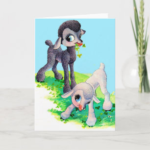 Tarjeta cordero negro cordero blanco